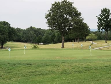 course-image