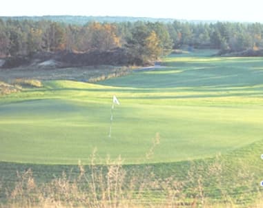 course-image