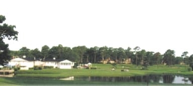 course-image
