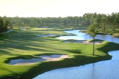 course-image