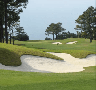 course-image