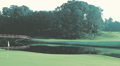 course-image