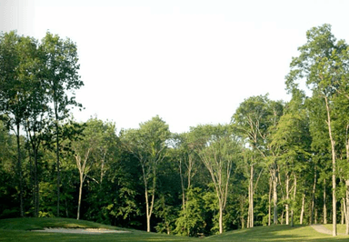 course-image