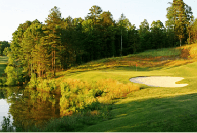 course-image