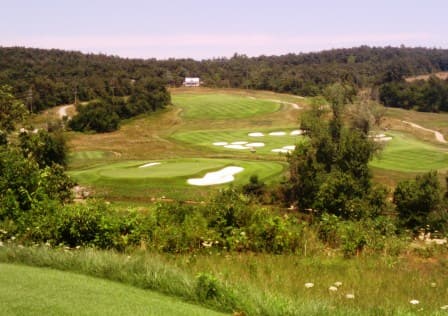 course image