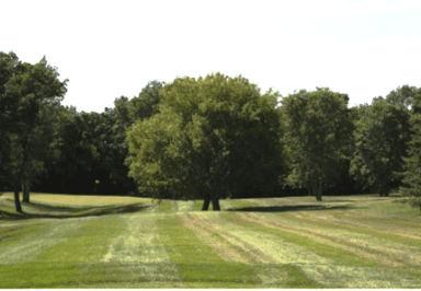 course-image