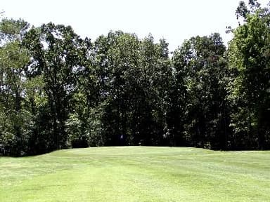 course-image