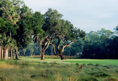 course-image