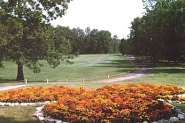 course-image