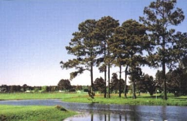 course-image