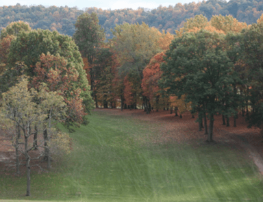 course-image