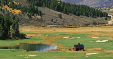 course-image