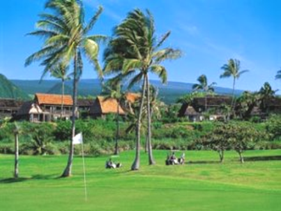 course-image
