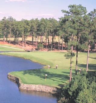 course-image