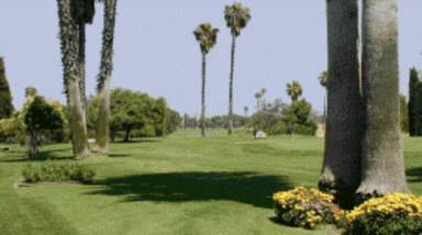 course-image