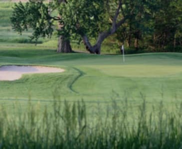 course-image