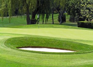 course-image