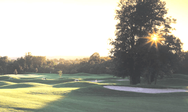 course-image