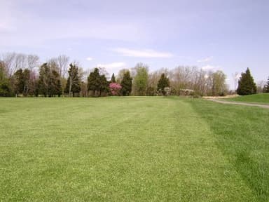 course-image