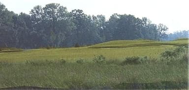 course-image
