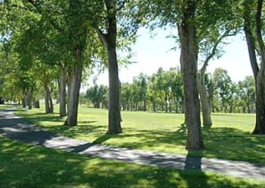 course-image