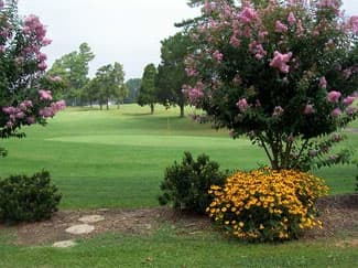 course-image