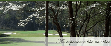 course-image
