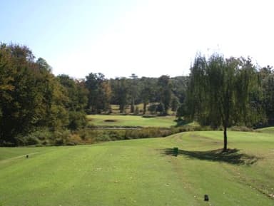 course-image