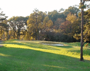 course-image