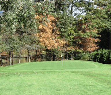 course-image
