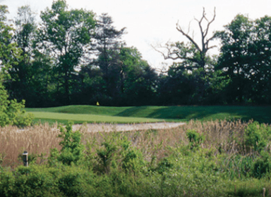 course-image