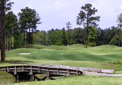 course image