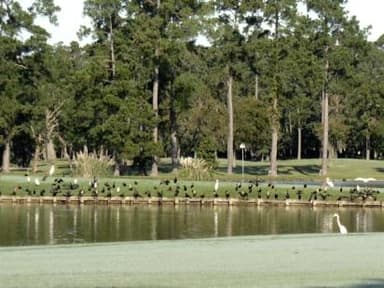 course-image