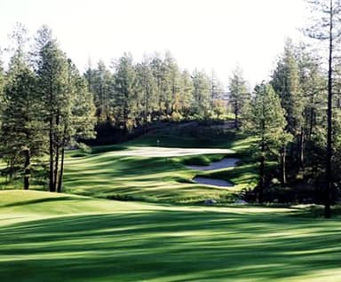 course-image