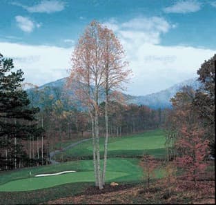 course image