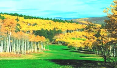 course-image