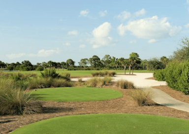 course-image