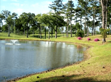 course-image