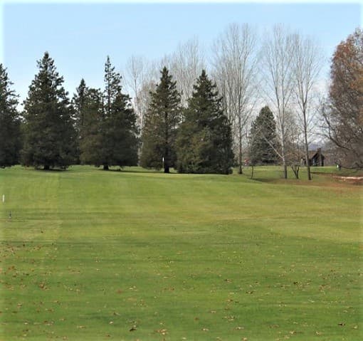 course image