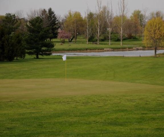 course image