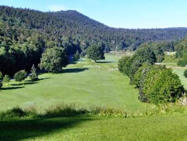 course-image