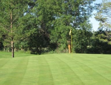 course-image