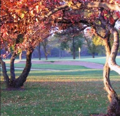 course-image