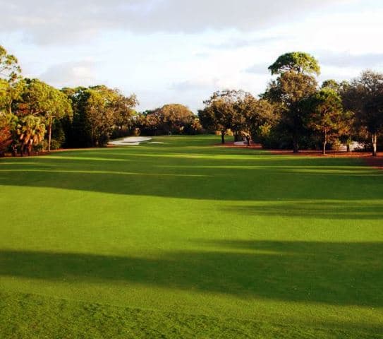 course image
