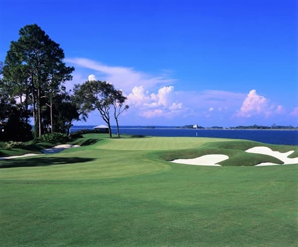 course-image