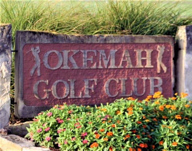 course-image