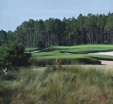 course-image