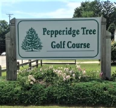 course-image