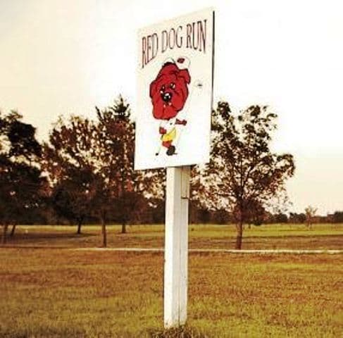 course image