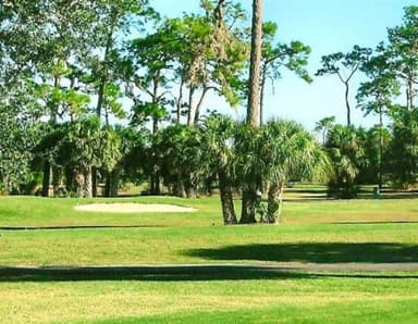 course-image